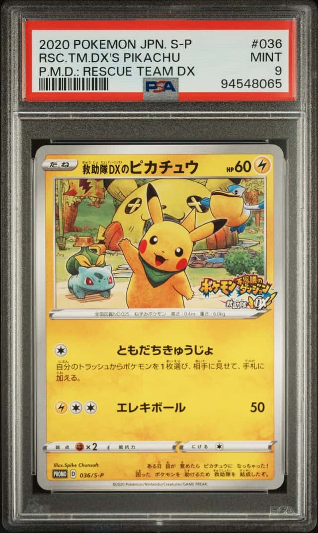 Rescue Team Dx's Pikachu