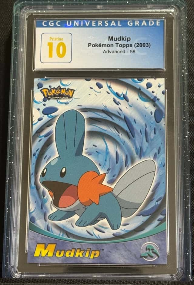 Mudkip