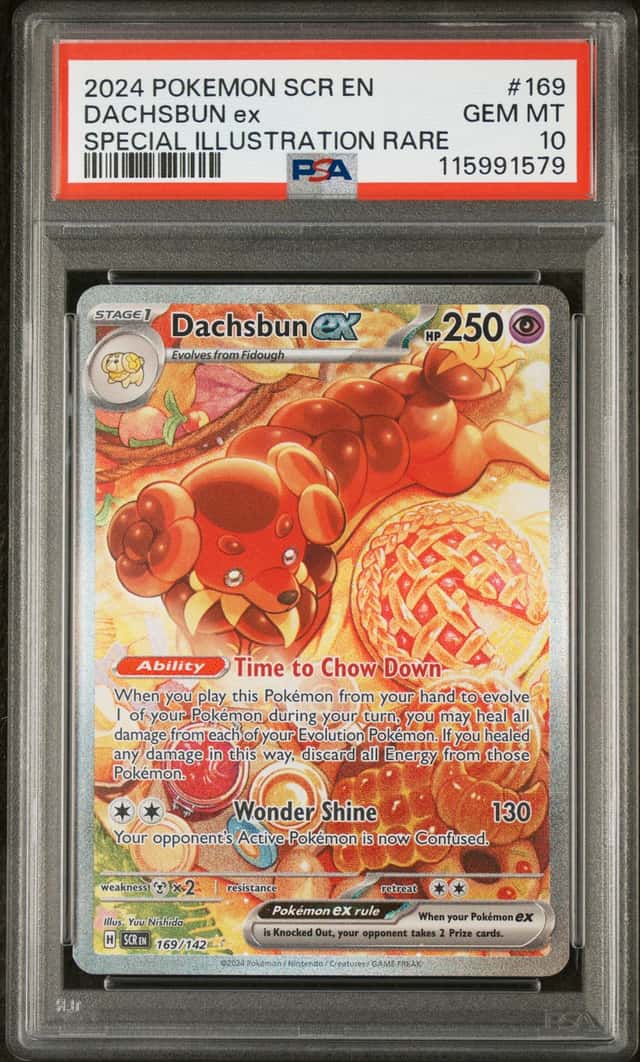 DACHSBUN ex