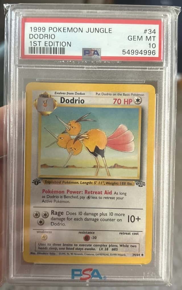 Dodrio