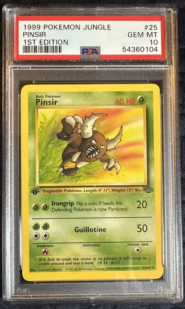 Pinsir