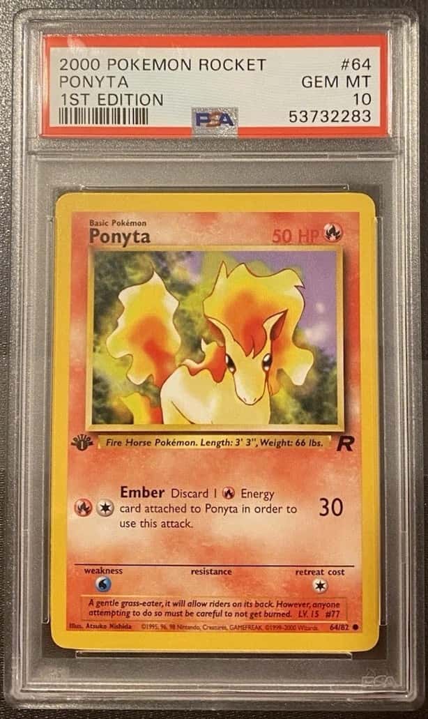 Ponyta