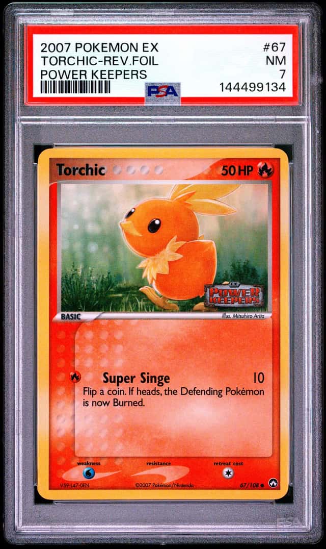 Torchic