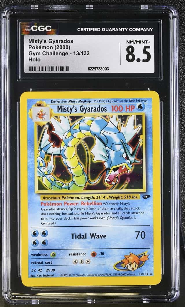 Misty's Gyarados