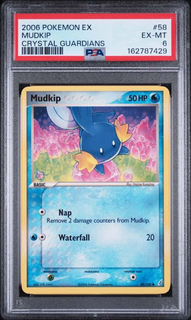 Mudkip