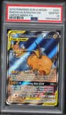 Raichu & Alolan Raichu Gx