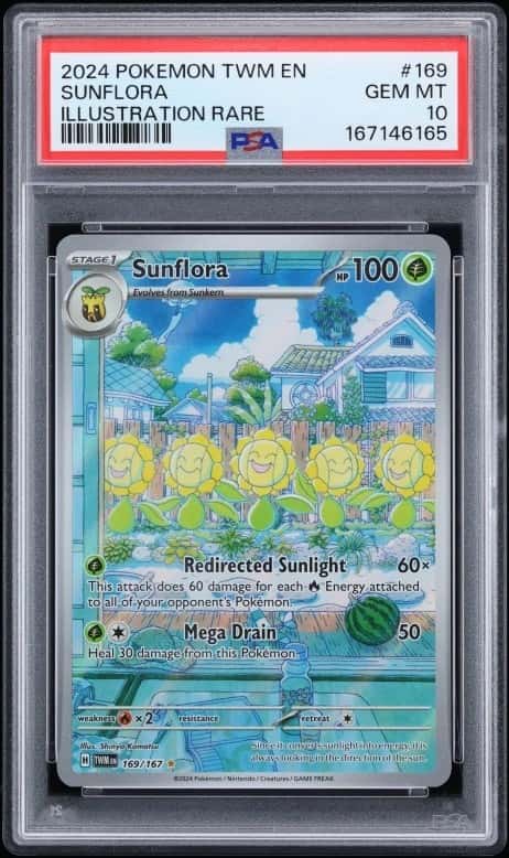 Sunflora