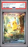 Pikachu Ex
