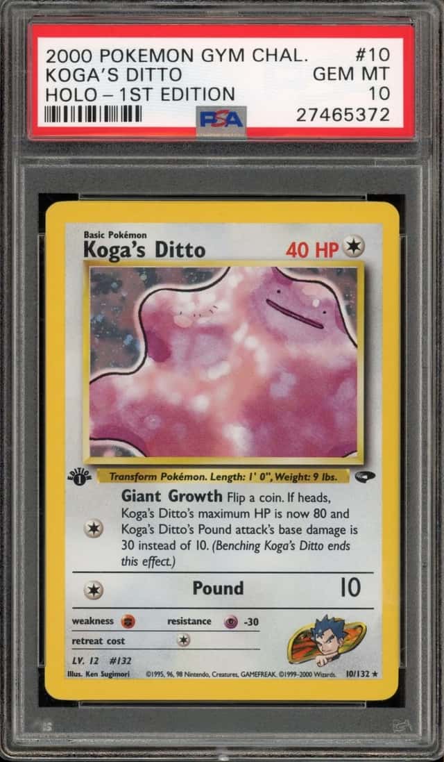 Koga's Ditto
