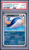 Wailord