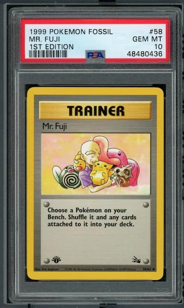 Mr. Fuji