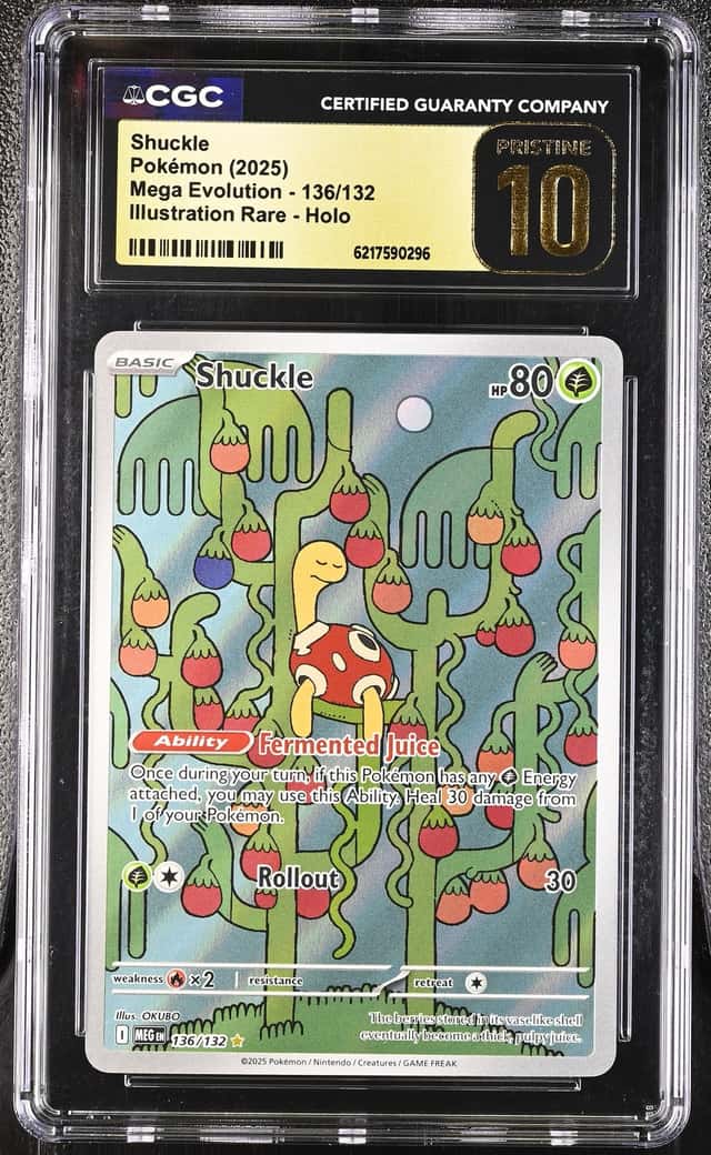 Shuckle