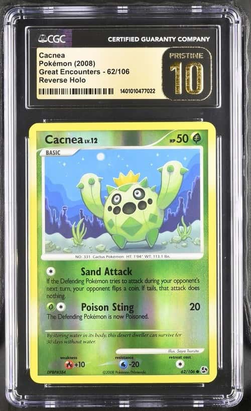 Cacnea