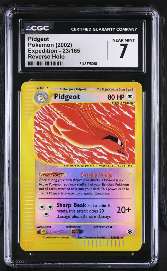 Pidgeot