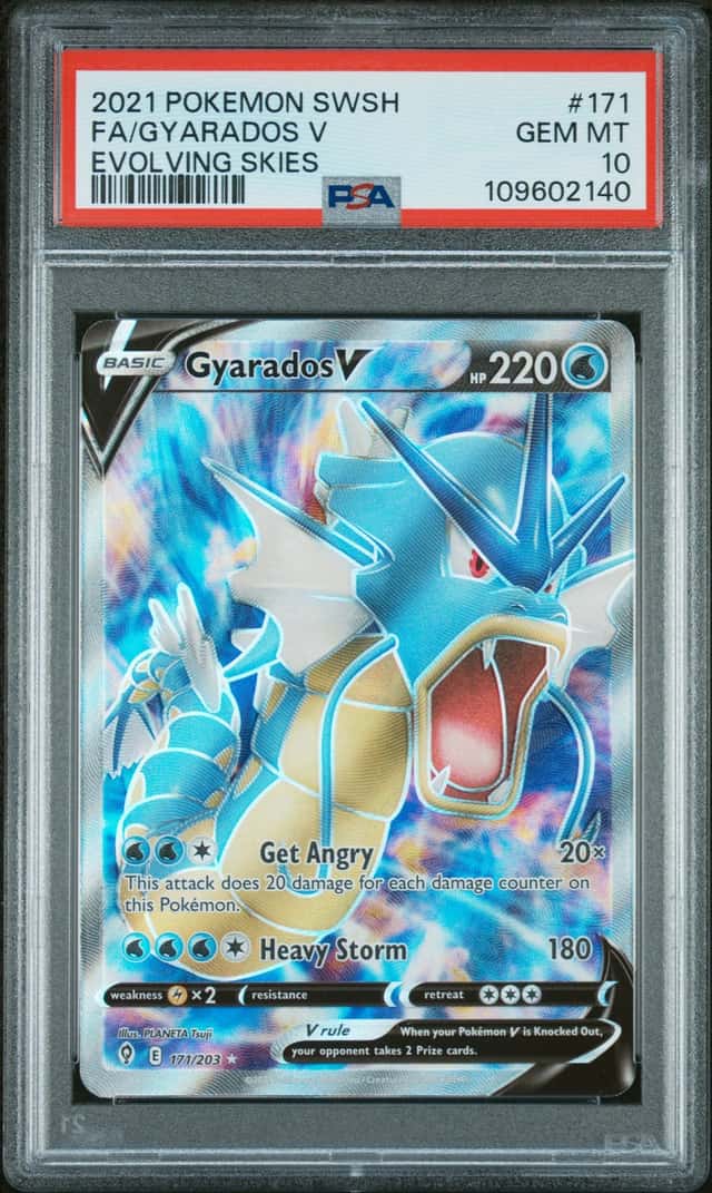 Gyarados V
