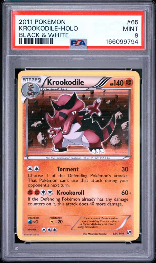 Krookodile