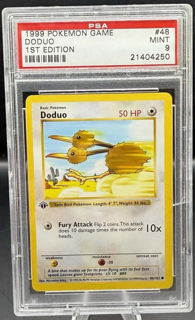 Doduo