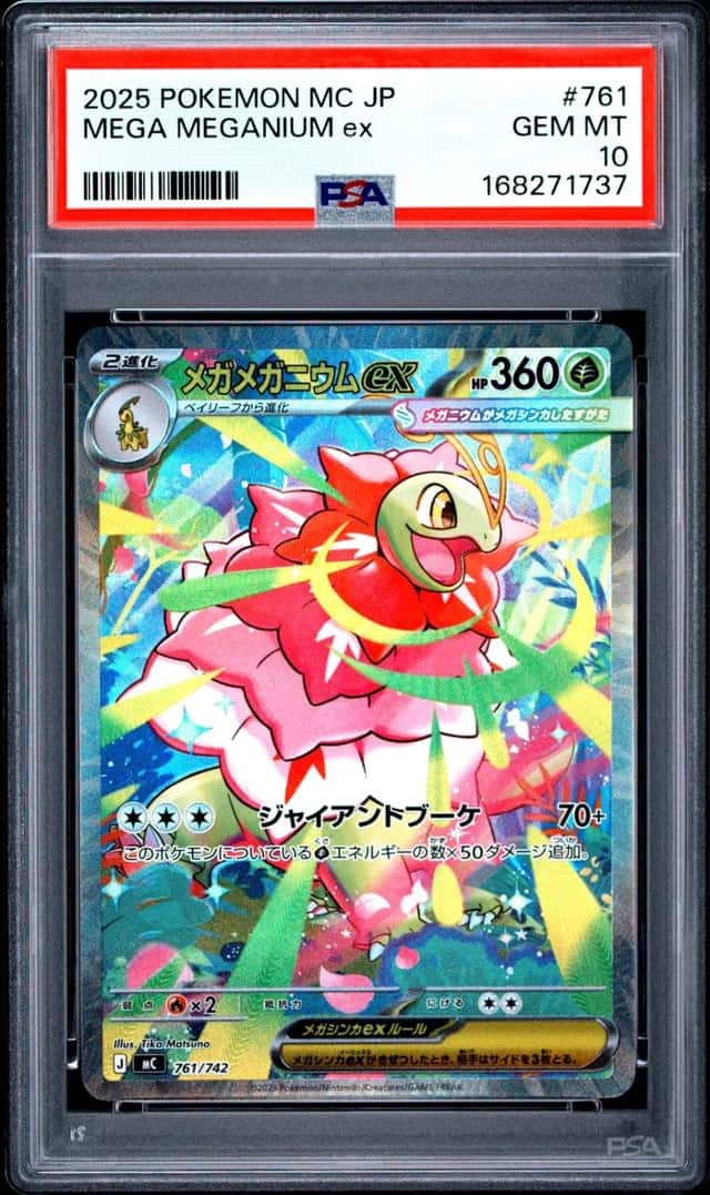 MEGA MEGANIUM ex