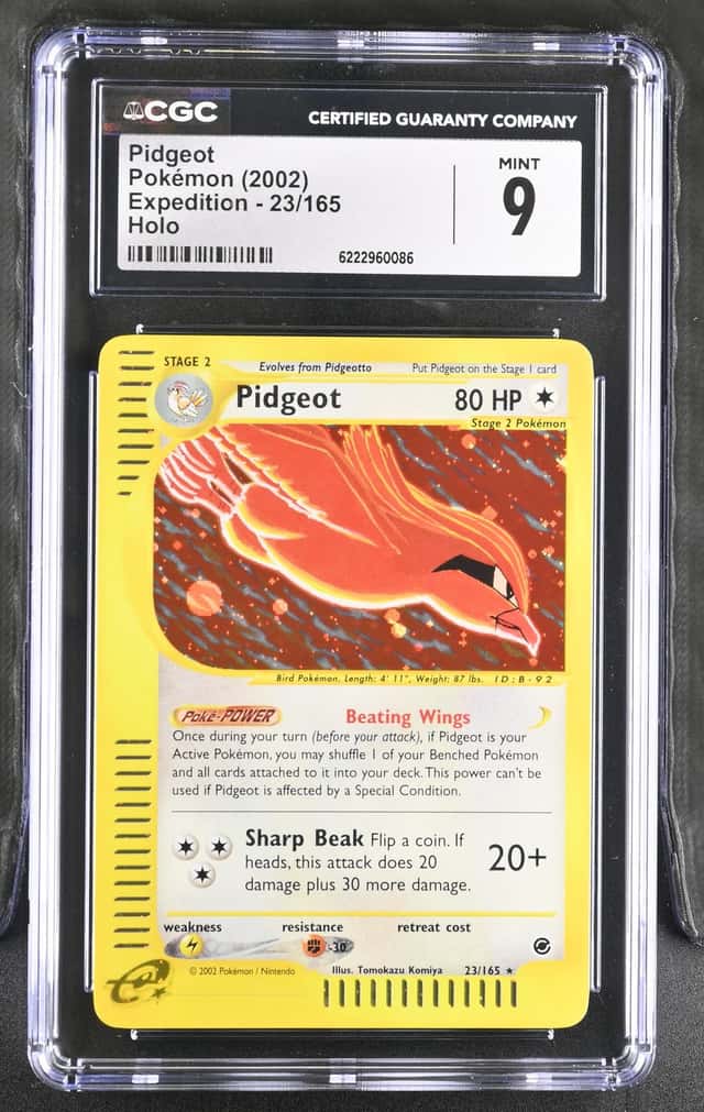 Pidgeot