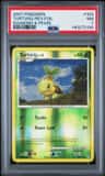 Turtwig