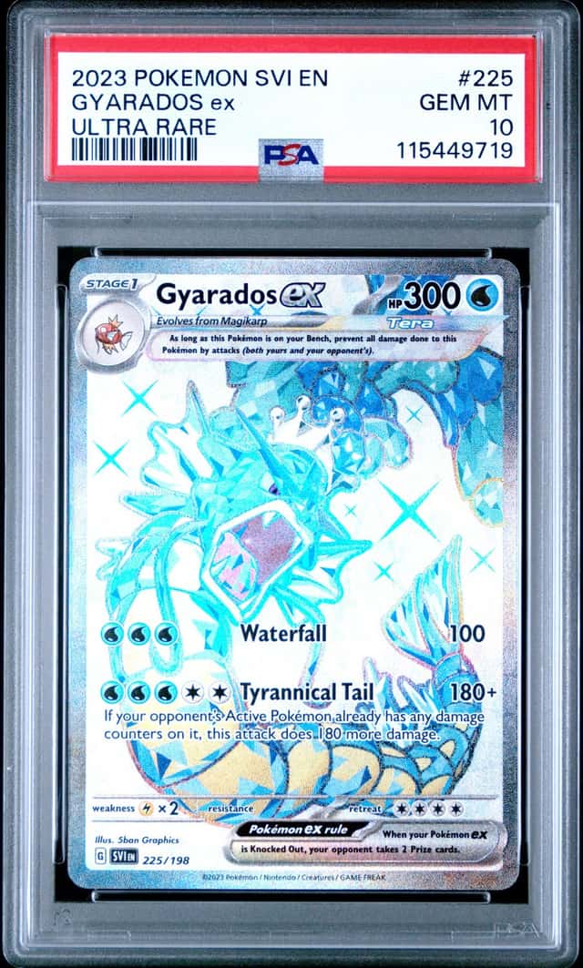 GYARADOS ex
