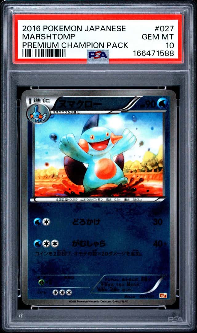Marshtomp