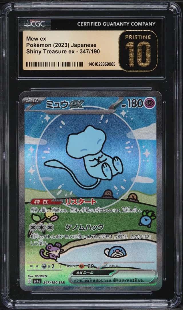 MEW ex