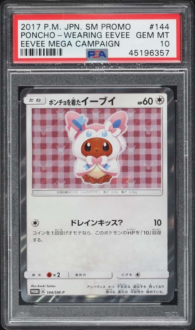 Poncho-Wearing Eevee