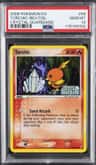 Torchic