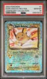 Dark Raichu