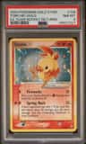 Torchic
