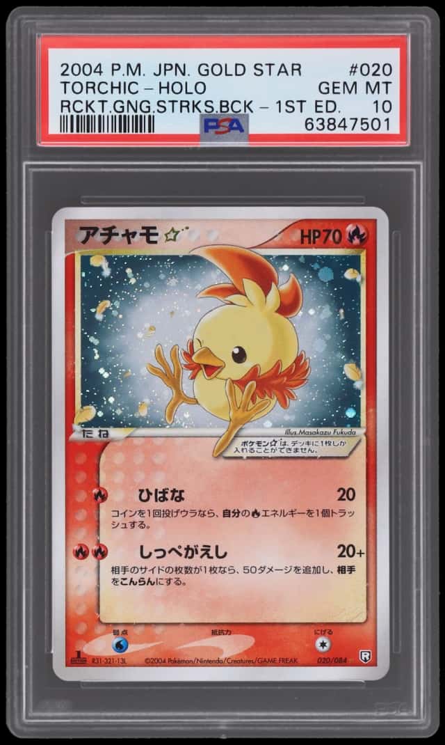 Torchic