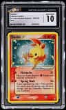 Torchic