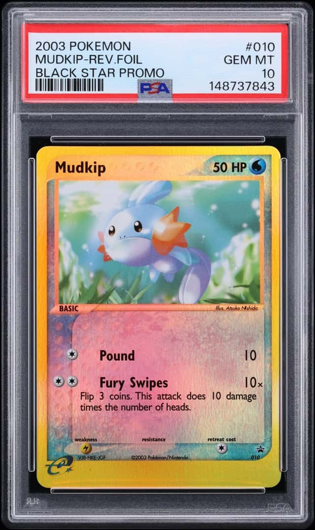 Mudkip