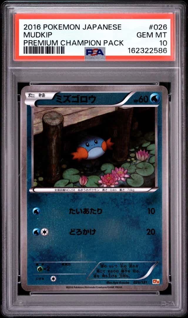 Mudkip