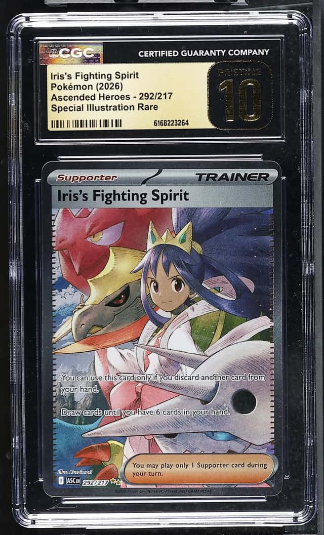 Iris's Fighting Spirit