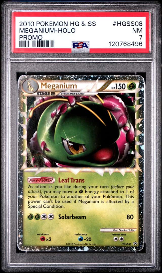 Meganium