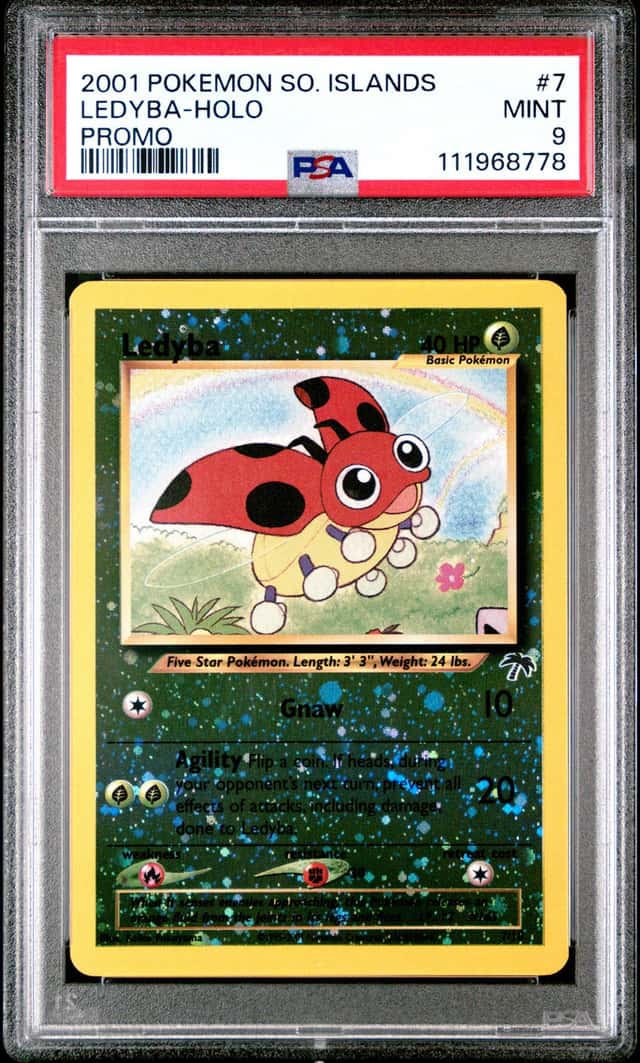 Ledyba
