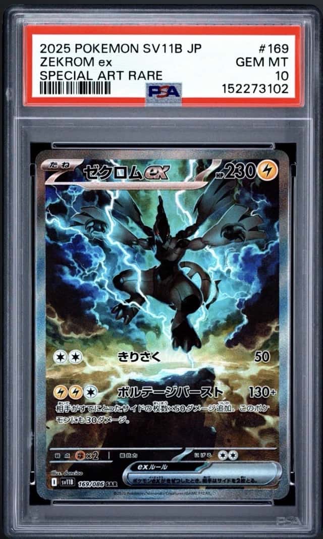 ZEKROM ex