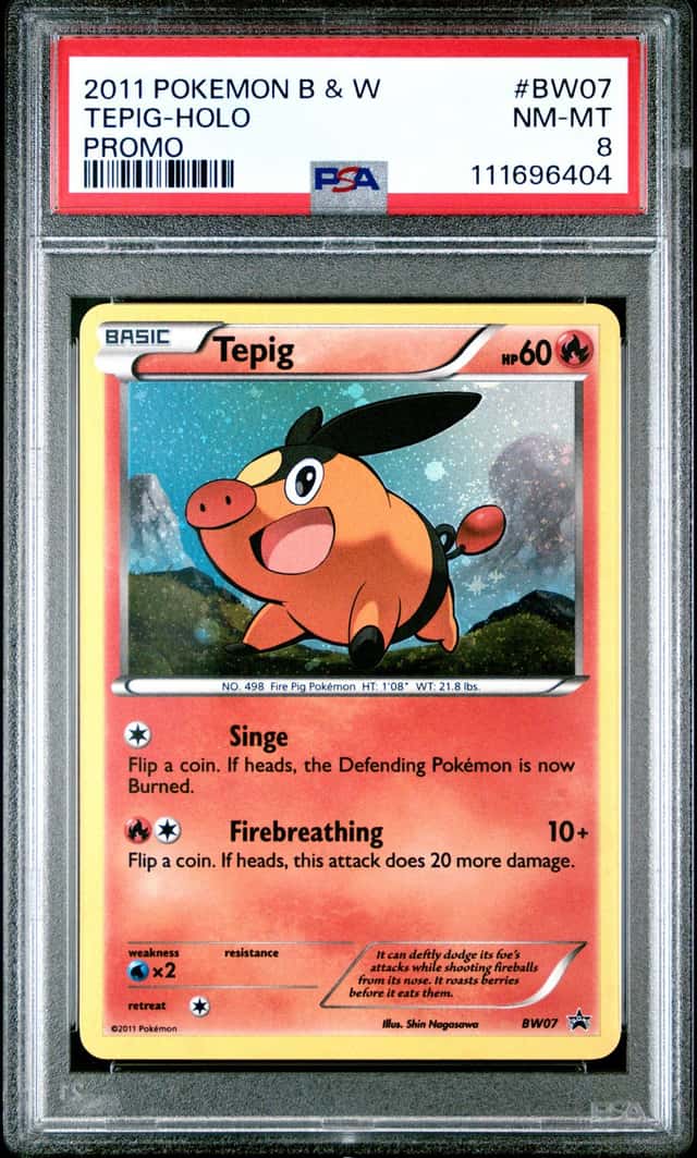 Tepig