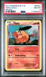 Tepig