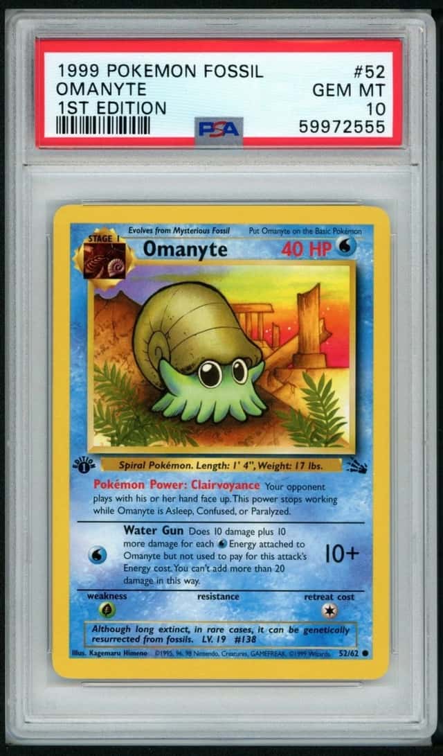 Omanyte