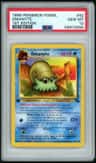 Omanyte