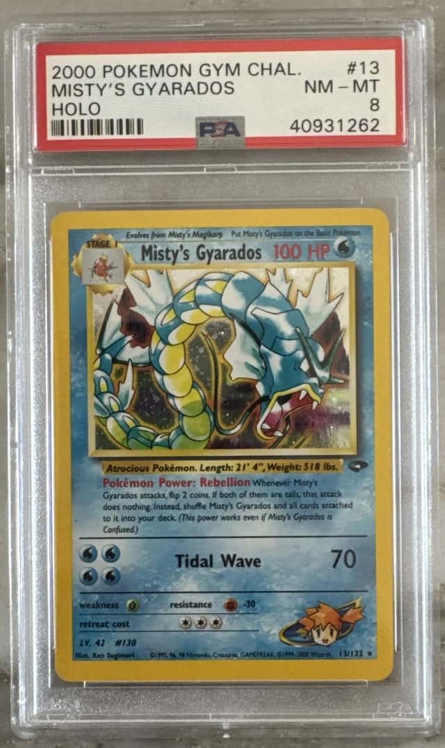 Misty's Gyarados