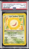 Light Sunflora