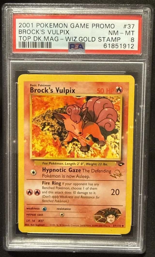 Brock's Vulpix
