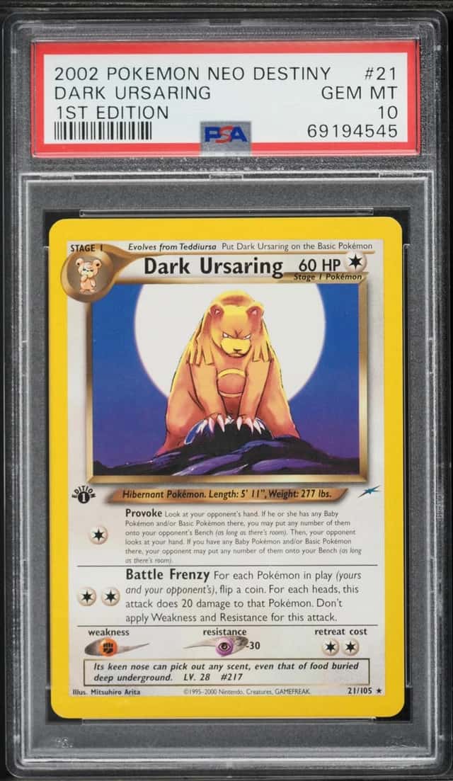 Dark Ursaring