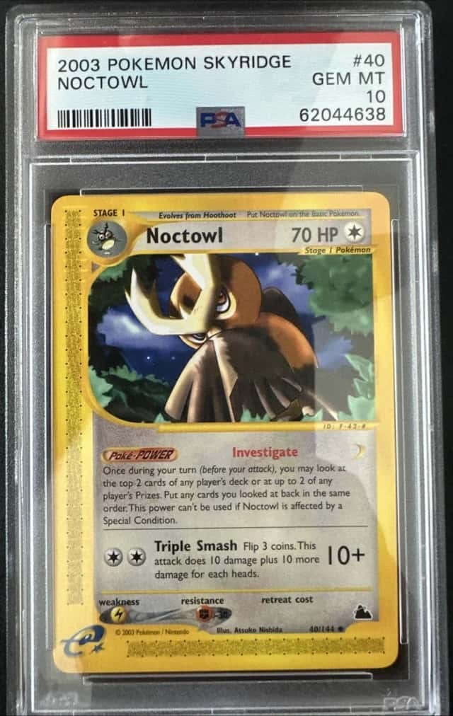Noctowl