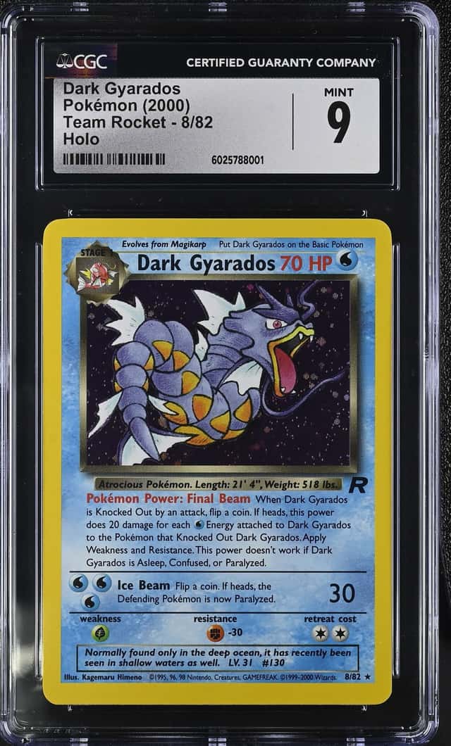 Dark Gyarados