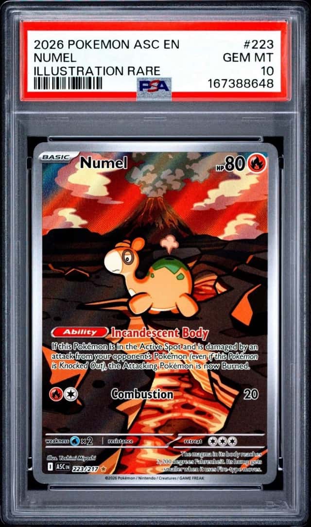 Numel